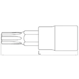HANS 1/4" TORX bit-dugókulcsfej TX8 2024T08