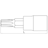 HANS 3/8" TORX bit-dugókulcsfej TX15 3024T15