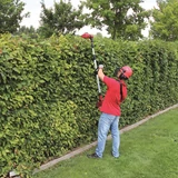 EINHELL GE-HC 18 Li T Solo sövény és ágvágó 3410800