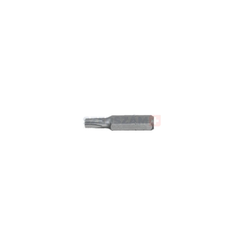 HANS 1/4" TORX bit hegy S2 T20x30 041-3T20