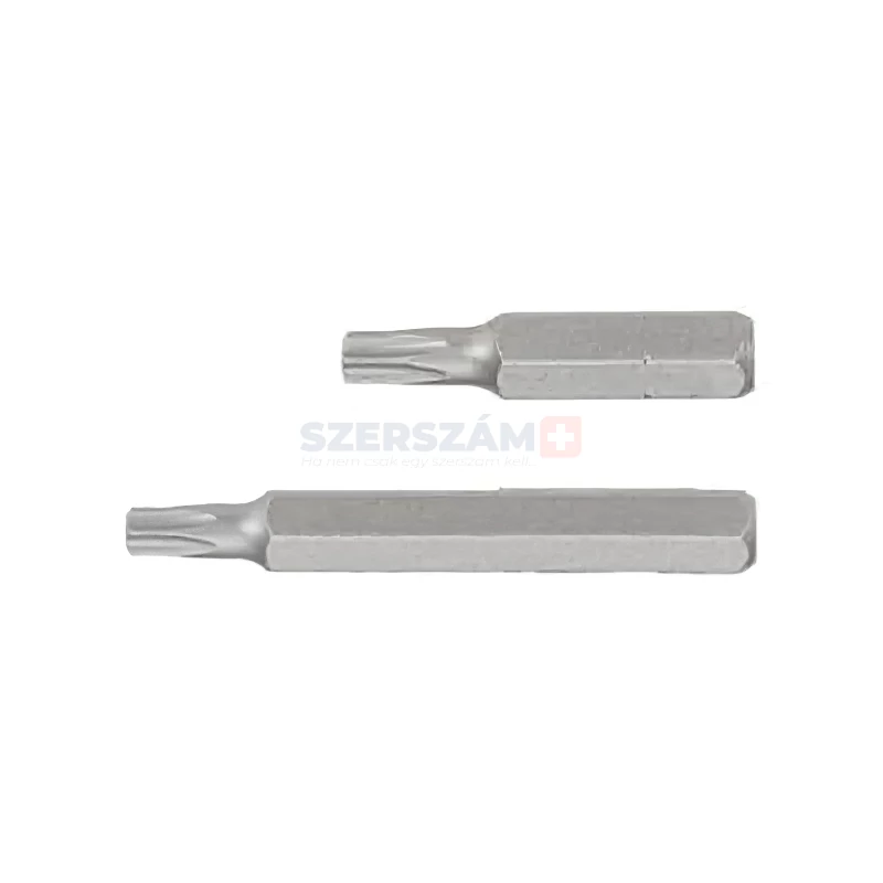 HANS 10mm TORX bit hegy S2 T40x30 043-3T40